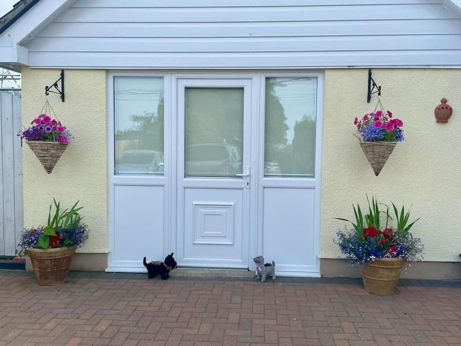 Y Villa Mor Llanarth  外观 照片